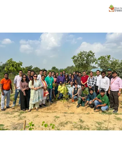 A proud group photo of the EXL team with their newly planted saplings. Each drive ends with a sense of accomplishment and a stronger connection to the planet.