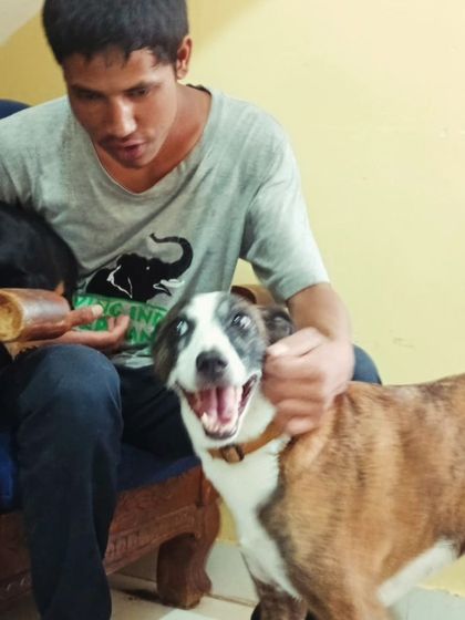 When the petting sessions are on, everyone jams in for their share.