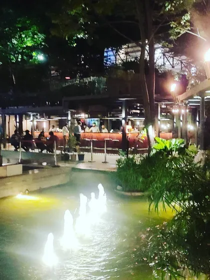 The fountains and ambient lighting at our brewpub create a relaxed and scenic environment for an evening out. It's a perfect blend of nature and nightlife.