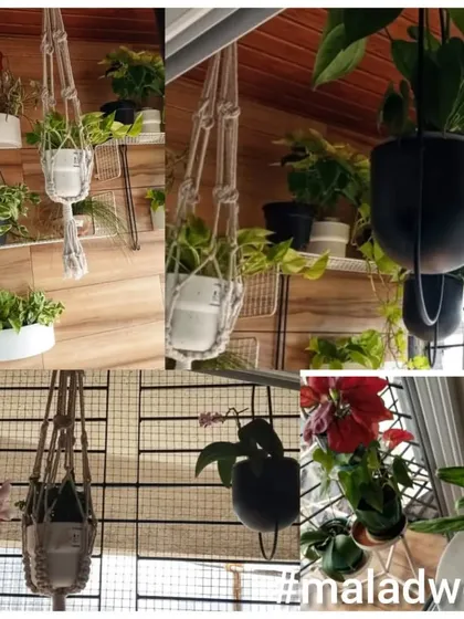 This collage from Malad West shows creative use of hanging planters and vertical space. Our service can help you make the most of any balcony size.