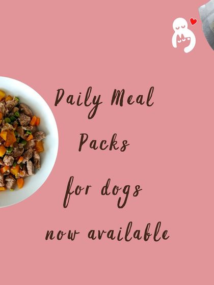 Hungry Eyes - Freshly Cooked Dog Meals Our Story, Our Community photo 36