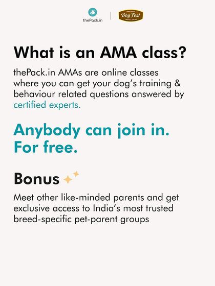The Pack - Online Pet Parent Community Free 'Ask Me Anything' (AMA) Classes photo 4