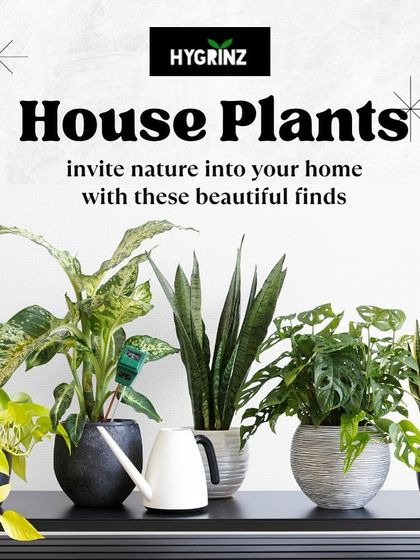 Hygrinz - Garden Design & Landscaping Our Plant & Flower Showcase photo 22