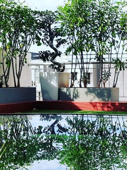 Art Yard - Commercial Landscape Design Rooftop & Terrace Transformations photo 4