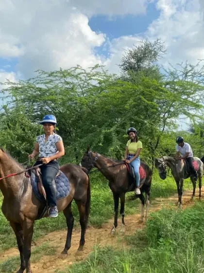 A friends' group riding in a line along a scenic trail. This image shows how our guided rides allow groups to explore the wilderness together in a safe and organized way.