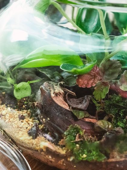 Creative Vessels: Teapots, Jars & More photo 4