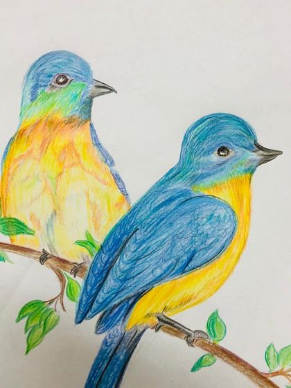 Learning to draw animals is a favorite in my class. These two colorful birds were created using pencil colors, where we focused on blending different shades to create a vibrant, feathered look and capture their gentle expressions.
