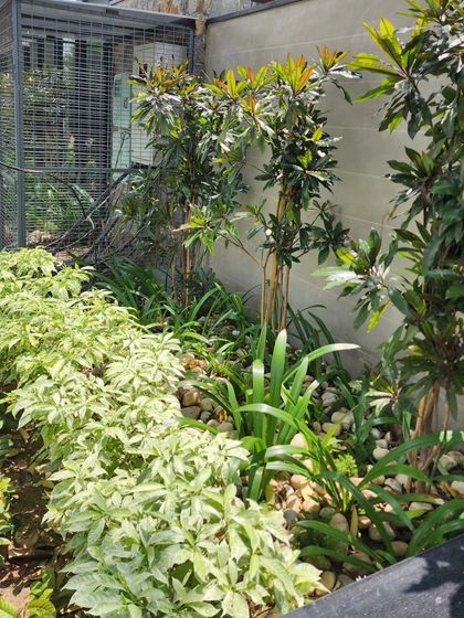 Delhi Gardner - Full-Service Landscaping Our Process: From Concept to Creation photo 21