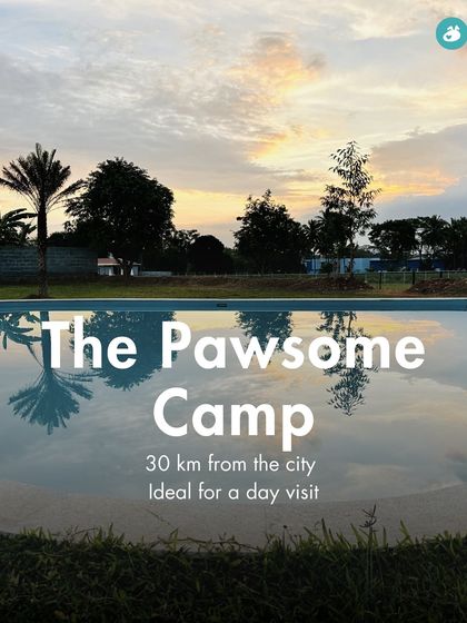 The Pack - Pet-Friendly Adventures & Meetups Pet-Parent Resources: Guides & Tips photo 15