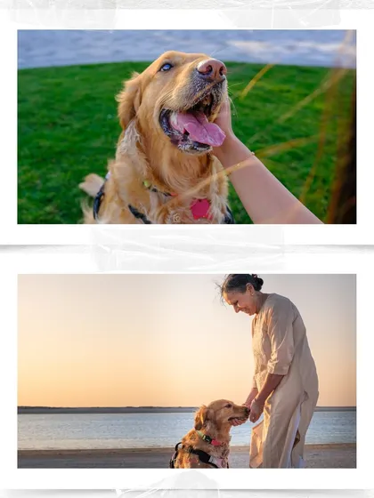 A closer look at the heartwarming interactions from Zoey's family shoot, highlighting the gentle connection between the dog and her grandma.