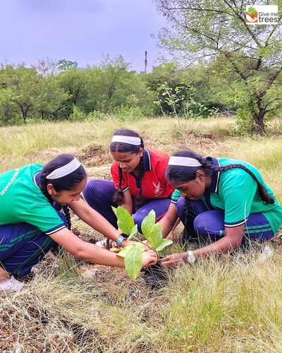 Environmental Education