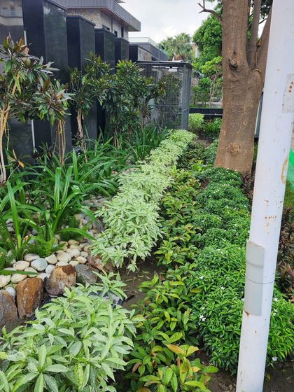 Delhi Gardner - Full-Service Landscaping Our Process: From Concept to Creation photo 23