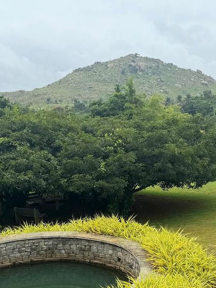 Even on a cloudy day, the view of the mountain from our garden is healing. The soft light and cool breeze are a cozy blanket for the soul, inviting you to slow down and just be.