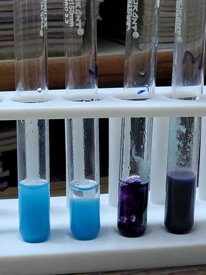 Fun in Science - Science Camps Additional Work photo 17