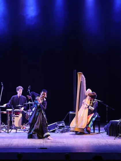 A beautiful moment from the 'Jazz meets Kathak' concert at the Royal Opera House, Mumbai. Here, I am accompanying international artists on the harp and woodwinds, creating a unique fusion of world music, jazz, and Indian classical rhythm.