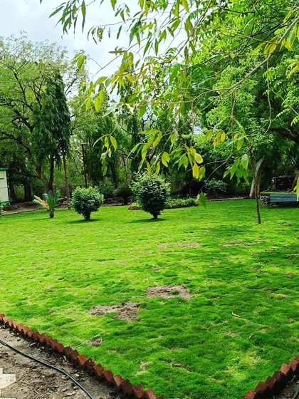 Another view of the finished park in Vadodara, with mature trees and a fresh green lawn.