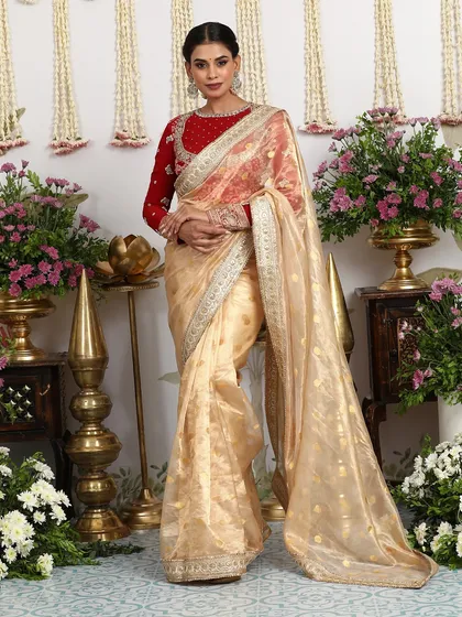 The full, standing view of the beige and red saree, a timeless and classic ensemble.