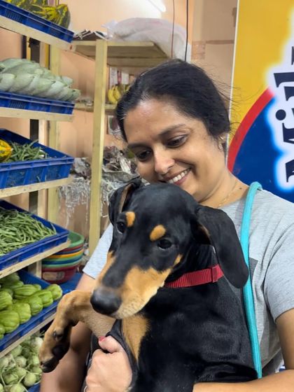 Deepthi - Dog Training & Behavior Modification Puppy Essentials: Socialization & Life Skills photo 3