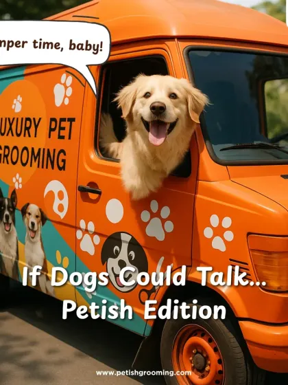 Petish Grooming - Mobile Grooming for Dogs & Cats A Day in the Life at Petish photo 3