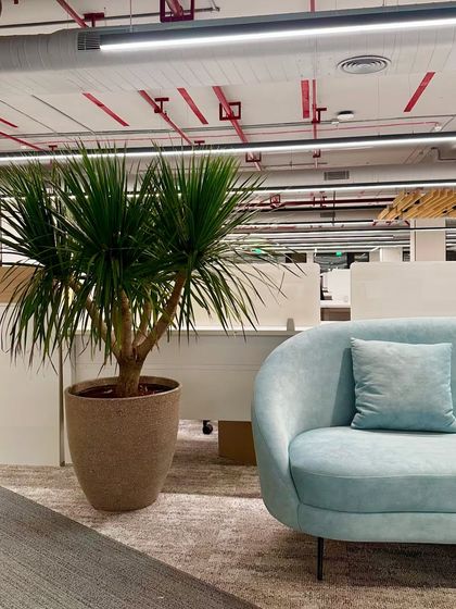 Corporate & Showroom Environments photo 8