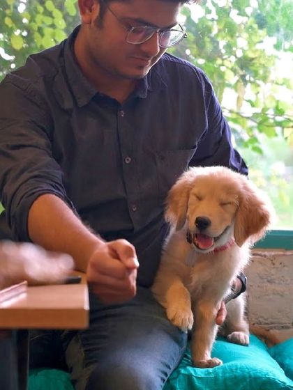 A happy, smiling puppy enjoying some lap time. We love seeing our youngest guests, both two-legged and four-legged.