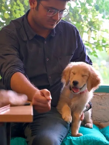 A happy, smiling puppy enjoying some lap time. We love seeing our youngest guests, both two-legged and four-legged.