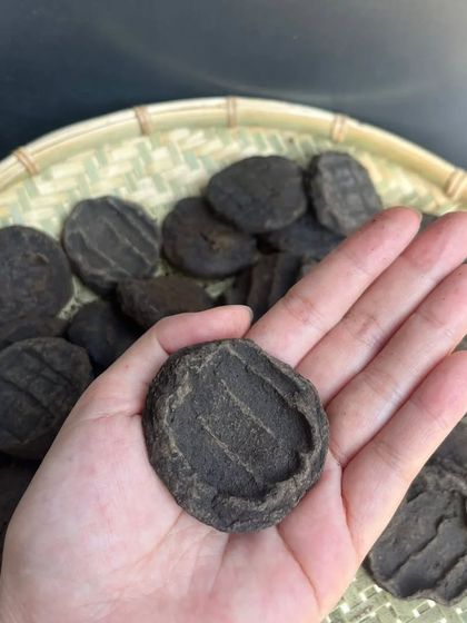 Holding a single Anishi patty to show its texture and shape. Each one is a piece of history, prepared using skills passed down through generations.