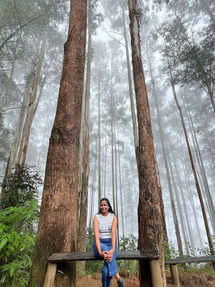 A trekker sitting on a bench in the beautiful pine forest.