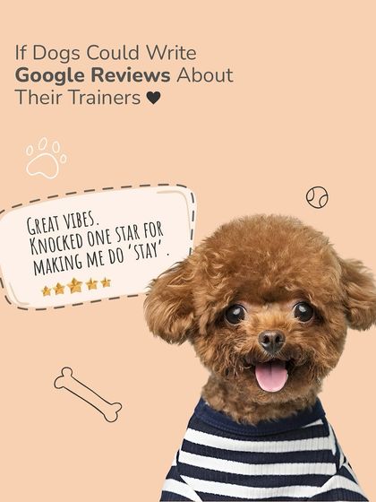 Another imaginary review from a dog. This one gives four stars, knocking one off for having to do 'Stay.' It's a humorous take on a dog's perspective of training.