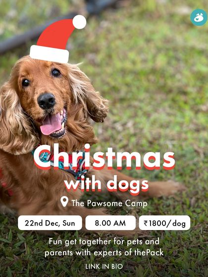 The Pack - Pet-Friendly Adventures & Meetups City Meetups & Doggie Picnics photo 16