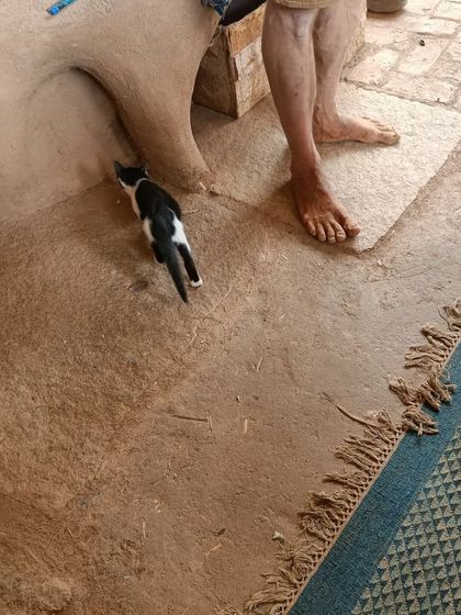 Nivriti Montessori - Summer Camp Field Trips & Outdoor Adventures photo 22