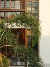 Architectural Design - Residential