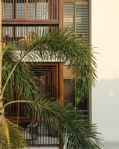 Architectural Design - Residential