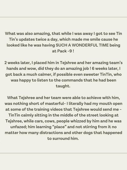 TinTin's guardian shares how he returned home a calmer, sweeter dog who listens to commands.