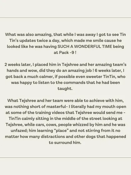 TinTin's guardian shares how he returned home a calmer, sweeter dog who listens to commands.