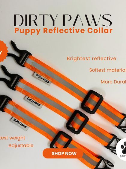 A product shot of my puppy reflective collars. They are lightweight, adjustable, and made with the brightest reflective material to be extra durable for playful pups.