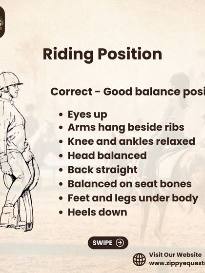 An illustration demonstrating the correct riding position. Good posture is essential for balance, control, and communication with the horse.