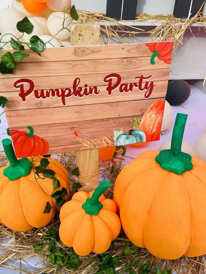 Novella - Children's Themed Birthday Parties More Fun Themes photo 17