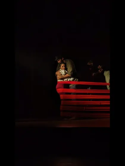 Flux School of Arts - Dance Classes Dance Theatre & Live Performances photo 23