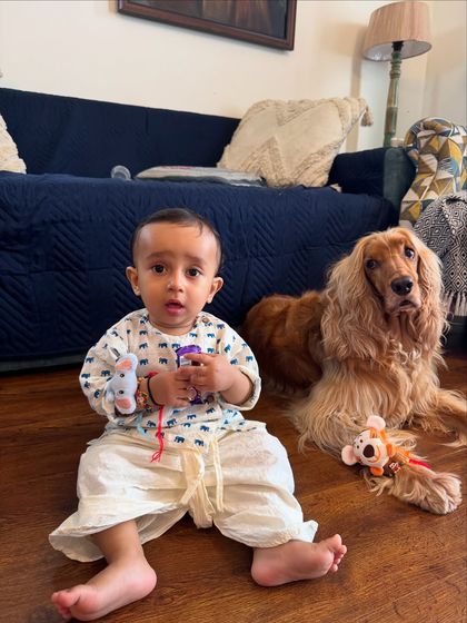 Another sweet moment from their Raksha Bandhan celebration, with Pablo holding his gifts and Posto keeping a close eye.