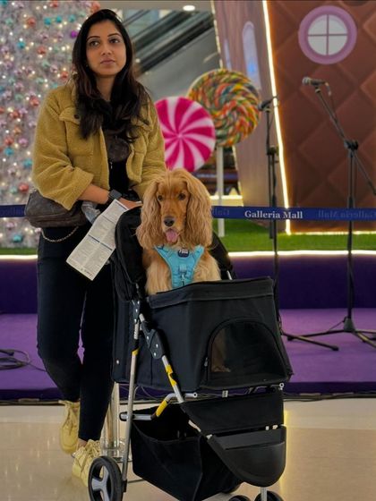 Exploring the Christmas decorations at The Galleria Mall. It's great to be able to include Posto in these outings.