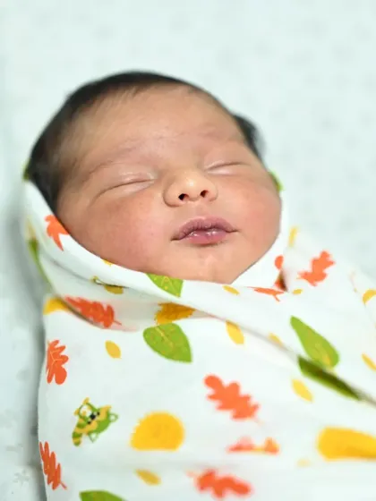 Heartfelt Moments & Happy Families photo 3