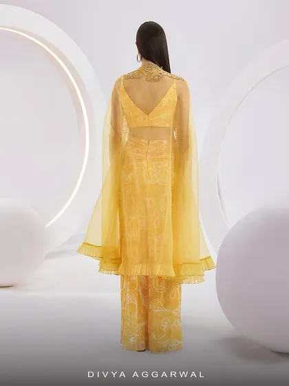 The back view of the RUMI Cape Set, highlighting the sheer organza cape and its intricate gold embroidery on the neckline.