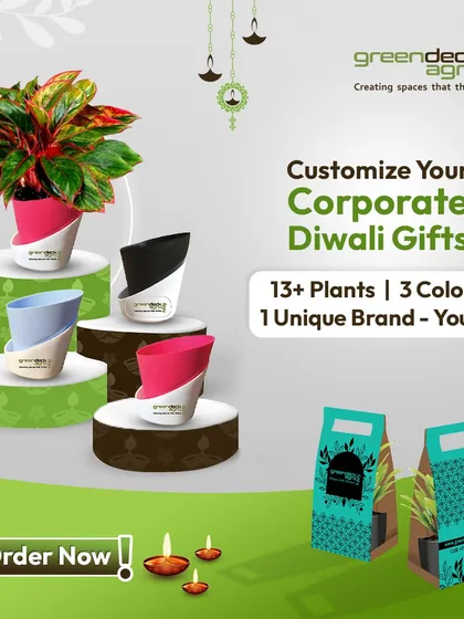 Customize your corporate Diwali gifts with a wide range of options. With over 13 plants and 3 pot colors to choose from, you can create a unique gift that represents your brand perfectly.