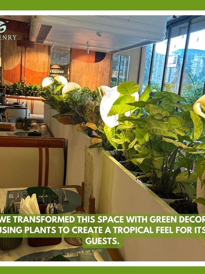 We used long planters filled with lush Syngonium plants to create a tropical feel at Pirates of Grill. These planters act as dividers between tables, offering guests a sense of privacy and immersion in a green environment.