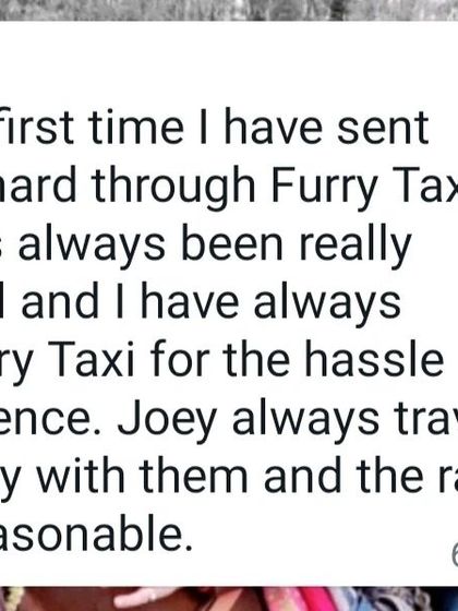 "Joey always travels comfortably with them and the rates are also reasonable." It's great to hear from repeat customers who trust me with their gentle giants.