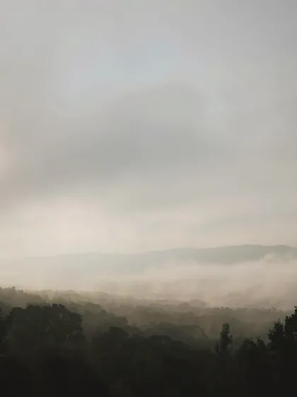 Waking up to a view like this in Chikmagalur is pure magic. My trips are designed to get you away from the city noise and into the heart of nature's beauty, where you can breathe in the fresh mountain air and watch the clouds roll by.