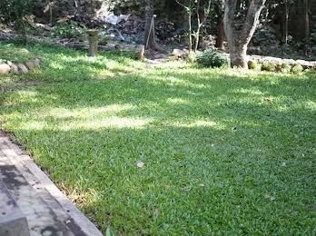 Crafting Green Foundations photo 10