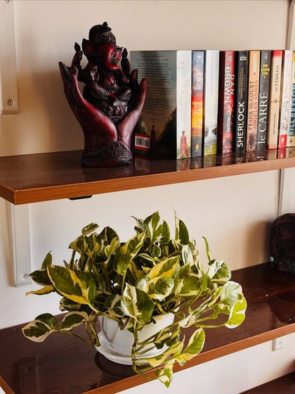 No bookshelf is complete without a plant. A simple Marble Queen Pothos adds a touch of life and color to this shelf, complementing the books and the Ganesha idol.