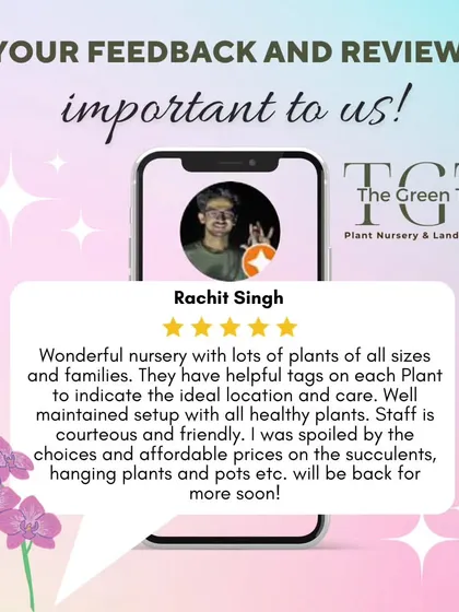 We are so happy to receive feedback like this. It confirms our commitment to providing healthy plants, helpful advice, and a friendly nursery experience for every customer who walks through our doors.